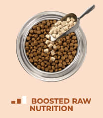 Image of dog food and a bar graph with two filled bars and one empty bar. Boosted raw nutrition.